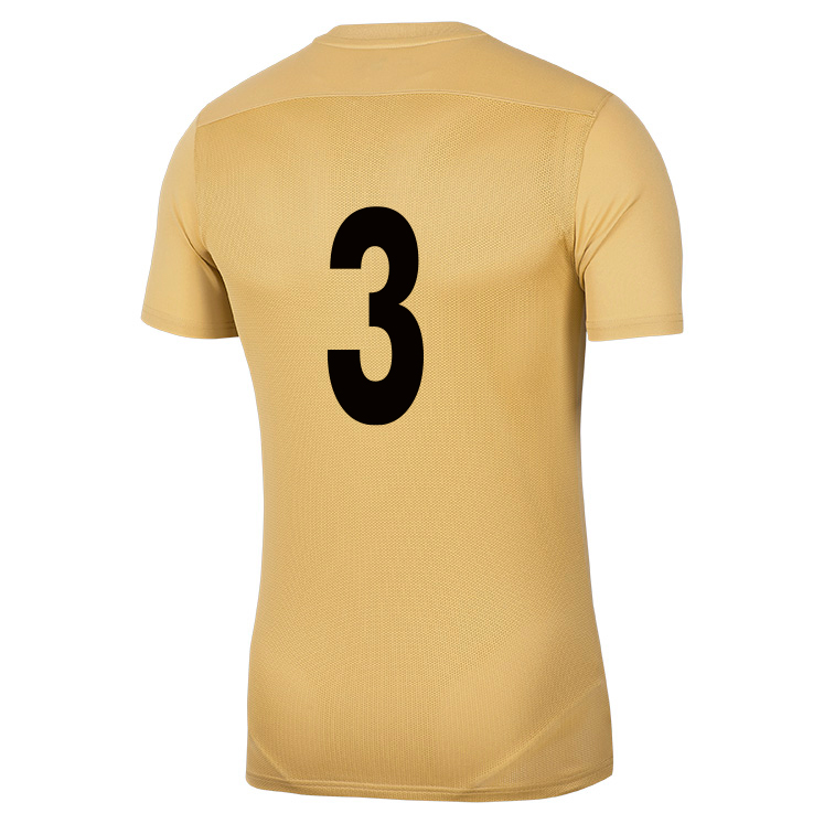 WORCESTER PARK COLTS FC Nike Park VII SS Jersey