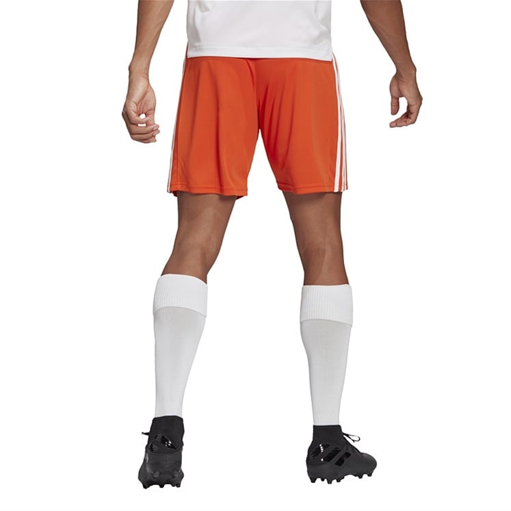 SPORT LONDON BENFICA adidas Squadra 21 Shorts