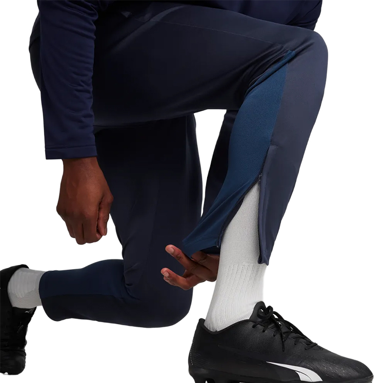Puma teamGOAL Training Pants