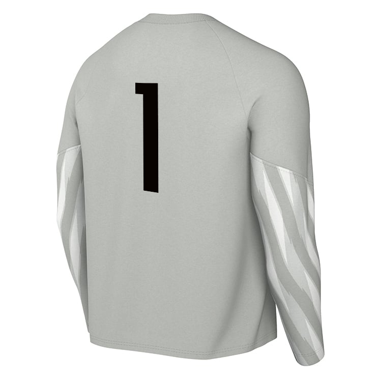 PLAYER FOCUSED DEVELOPMENT Nike Park V Dri-FIT LS GK Jersey