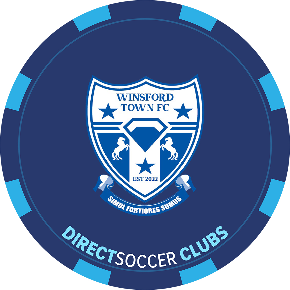 WINSFORD TOWN TOKEN