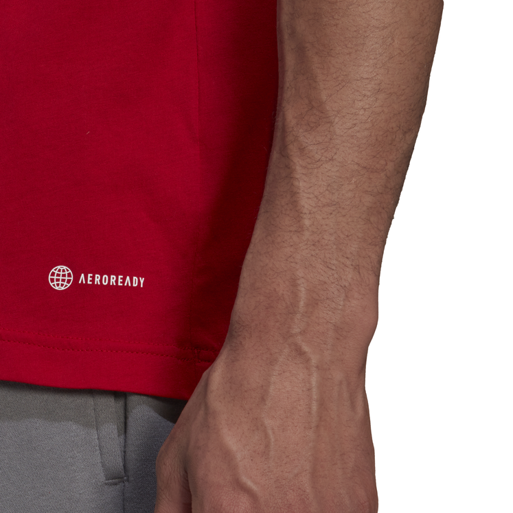 adidas Entrada 22 Tee
