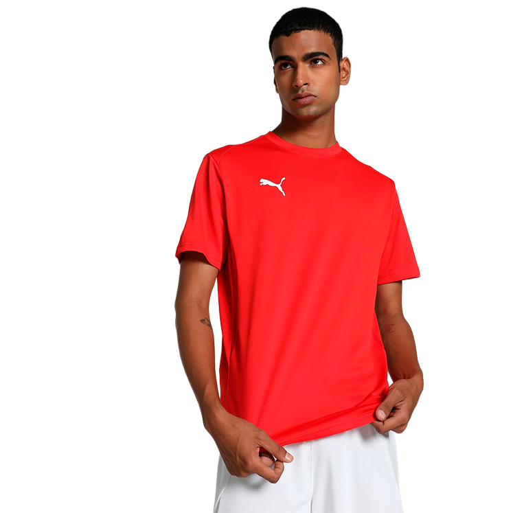 Puma teamGOAL Jersey