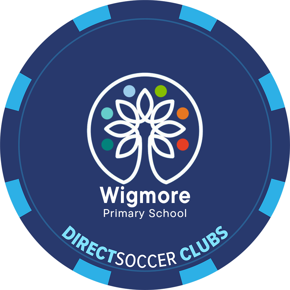 WIGMORE PRIMARY SCHOOL TOKEN