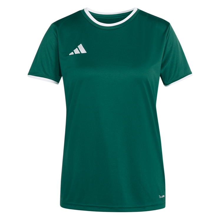 Team Dark Green/White