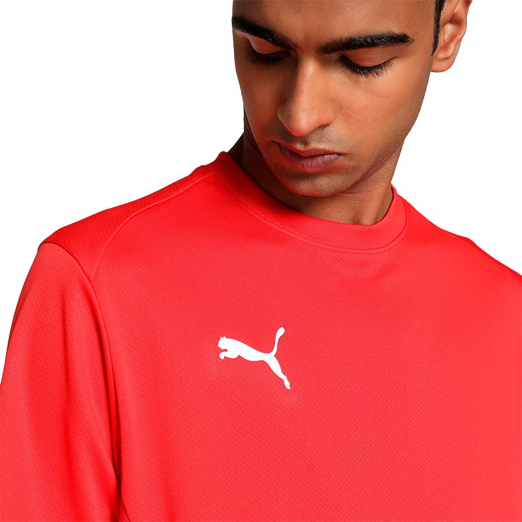 Puma teamGOAL Jersey
