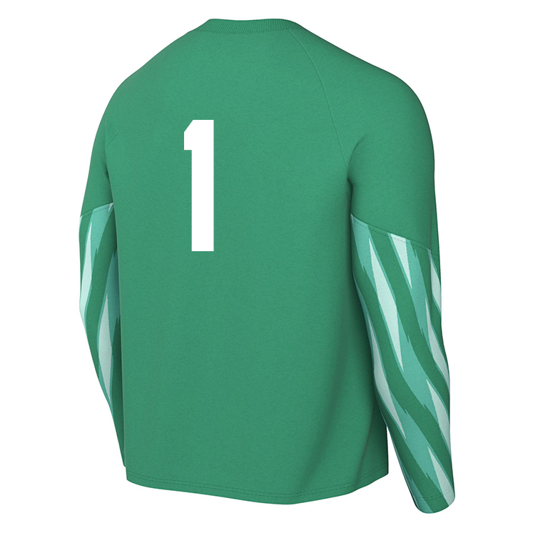 HAWLEY FC Nike Park V Dri-FIT LS GK Jersey