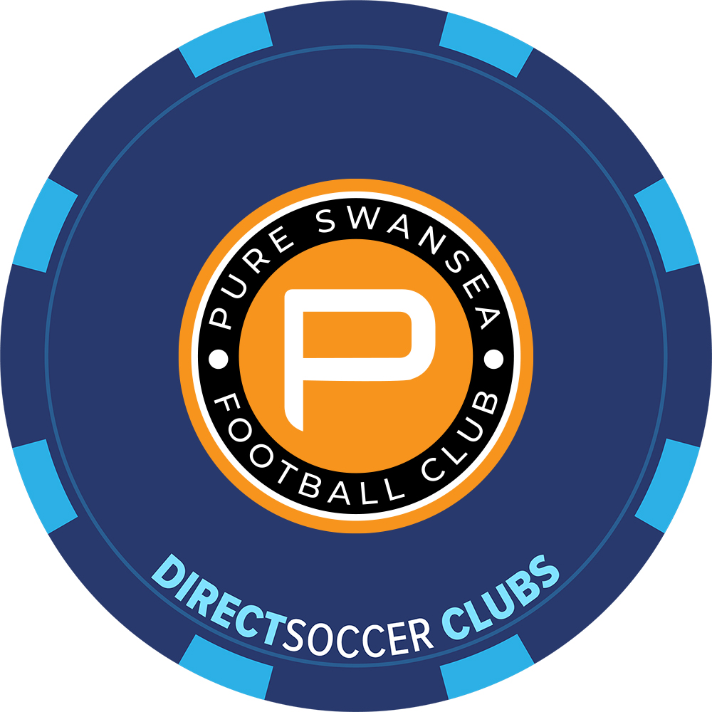 PURE SWANSEA FOOTBALL CLUB TOKEN