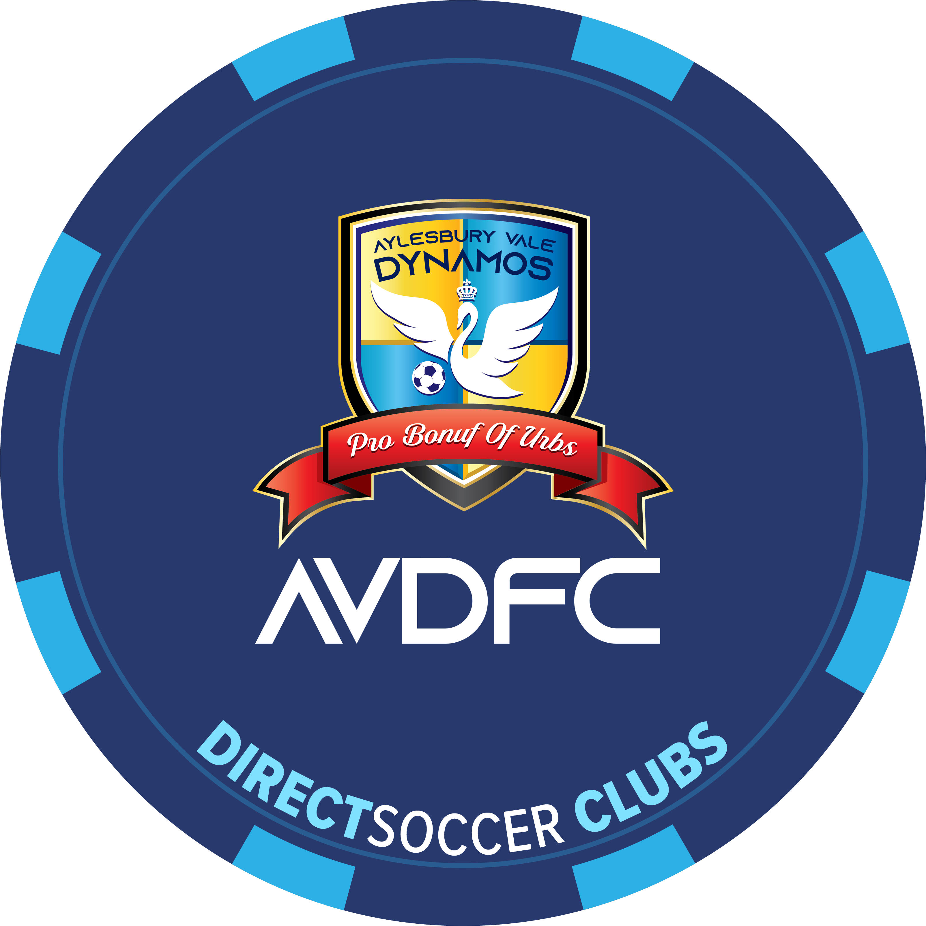 AYELSBURY VALE DYNAMOS FC TOKEN