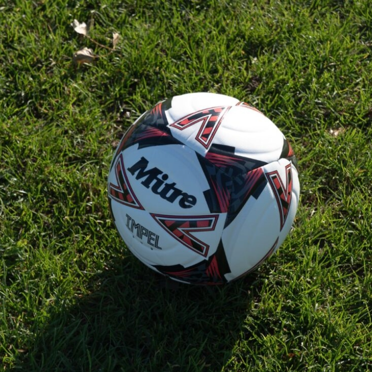 Mitre Impel Evo 24 Football