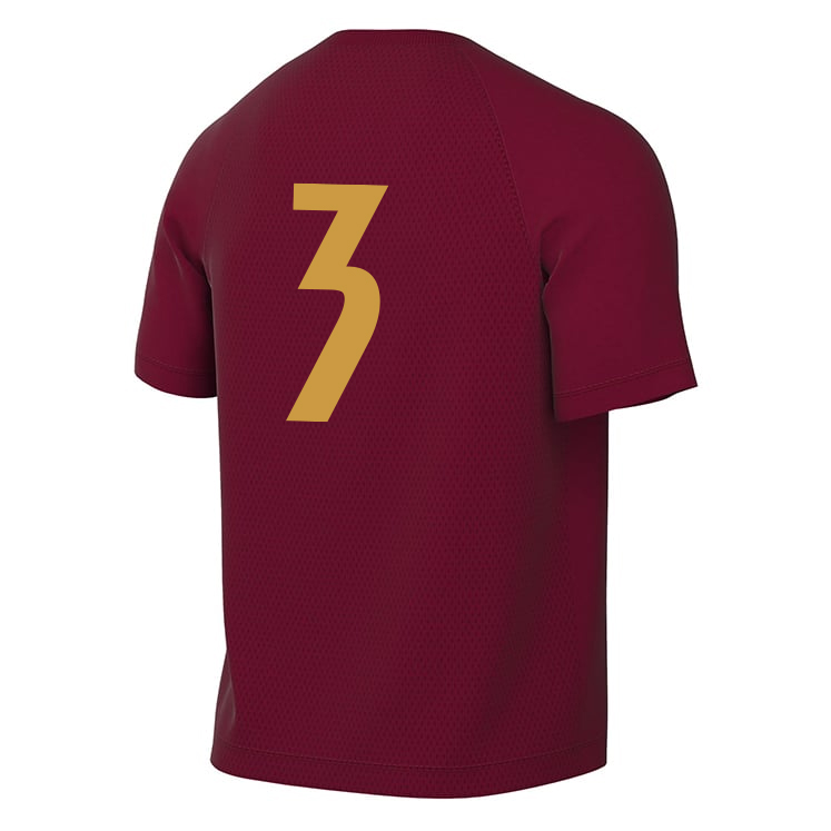 PLAYER FOCUSED DEVELOPMENT Nike Park VIII Dri-FIT SS Jersey