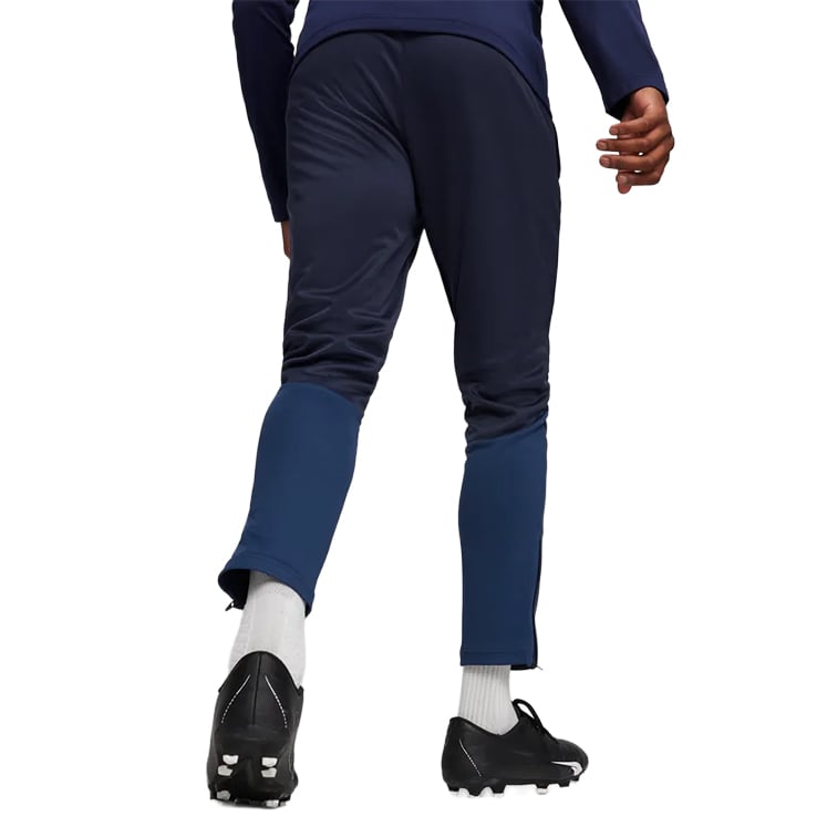 Puma teamGOAL Training Pants