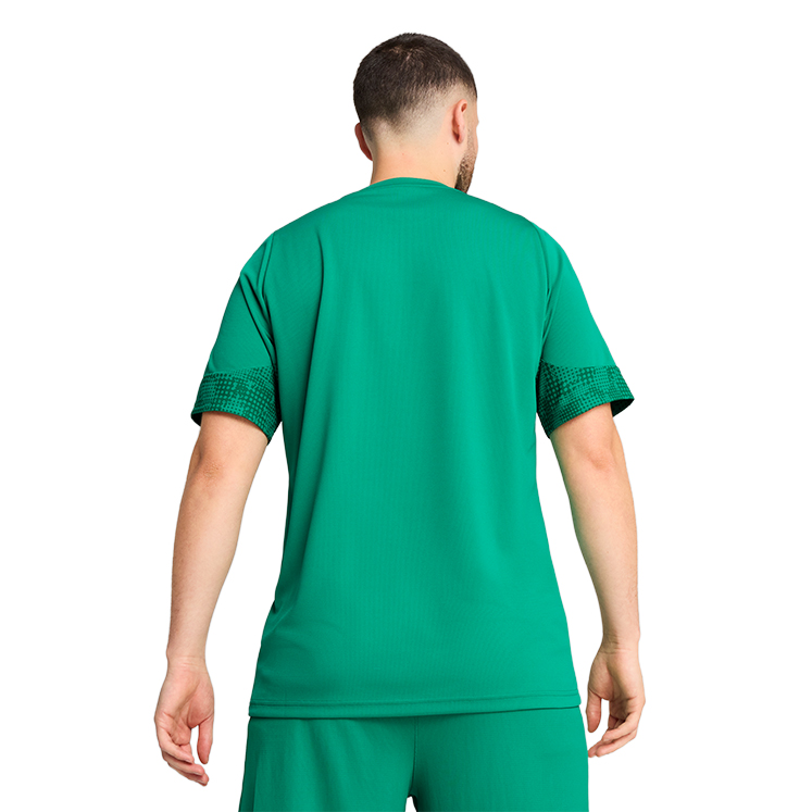 Puma teamCUP Training Jersey