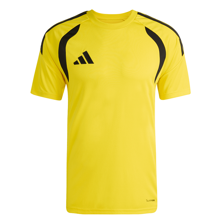 Team Yellow/Black