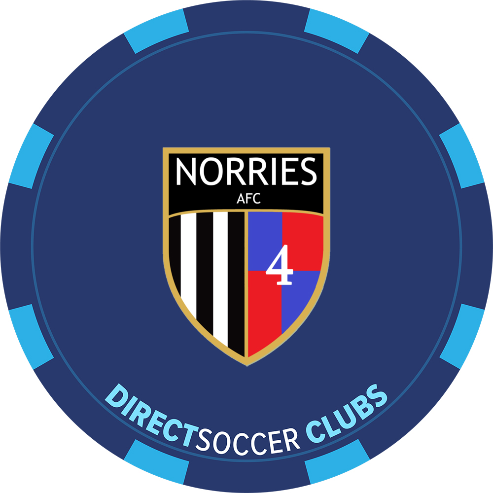 NORRIES AFC TOKEN