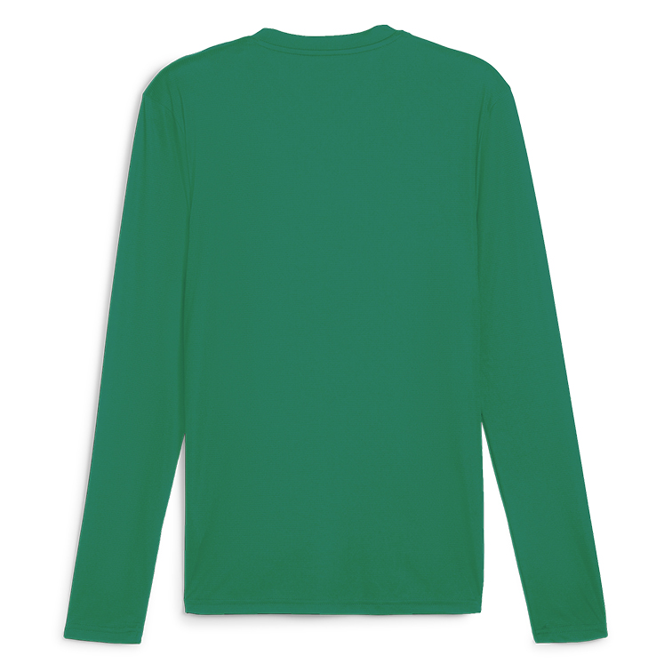Puma teamGOAL Baselayer Tee