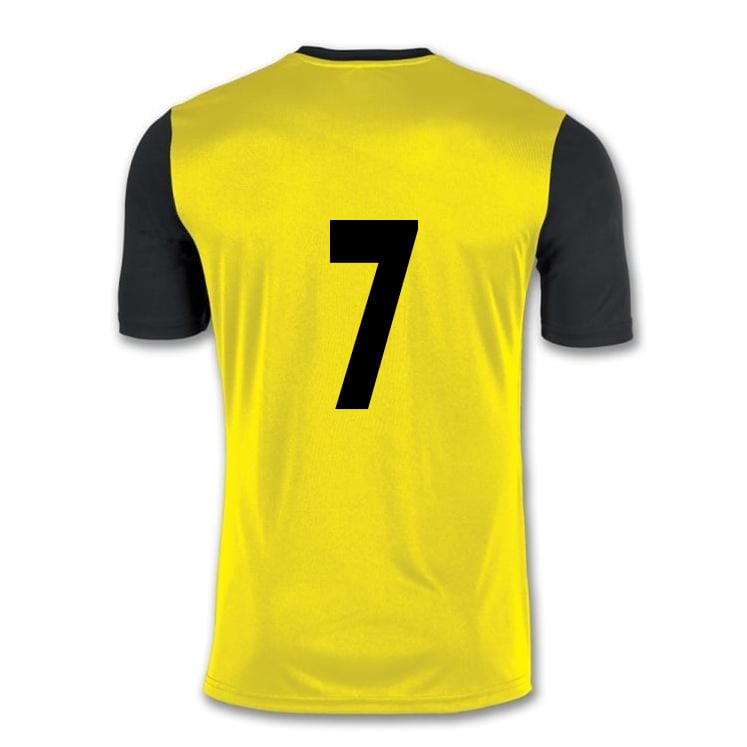 EMSWORTH TOWN YFC Joma Winner S/S Jersey