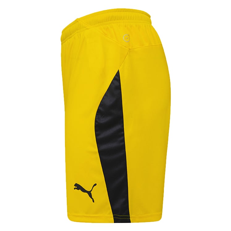Puma teamLIGA Shorts