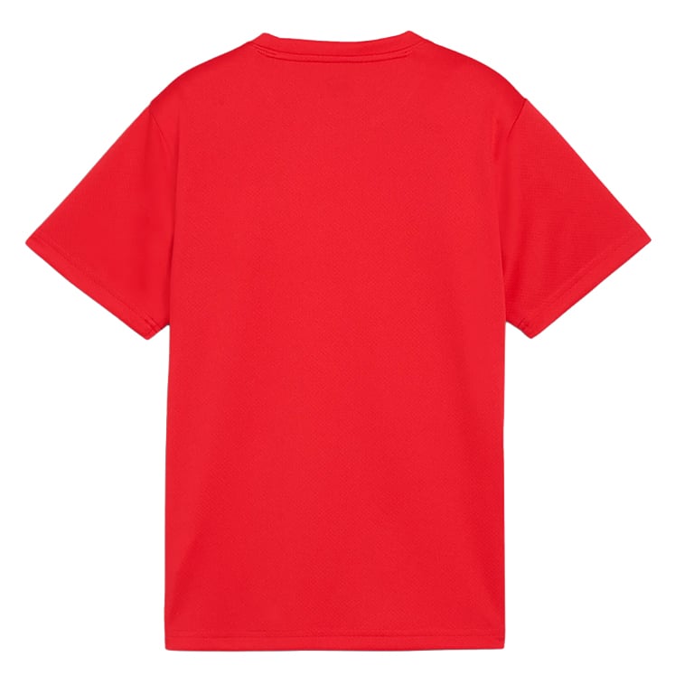 Puma teamGOAL Jersey