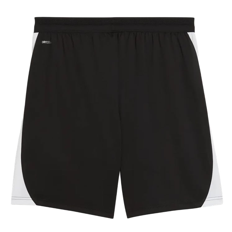 Puma teamFINAL26 Training Shorts