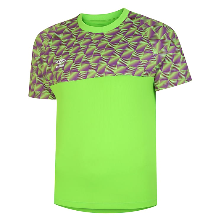 Green Geko / Purple Cactus