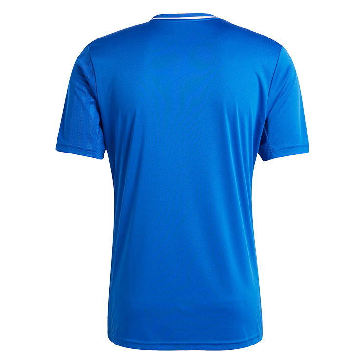 adidas Campeon 25 Jersey