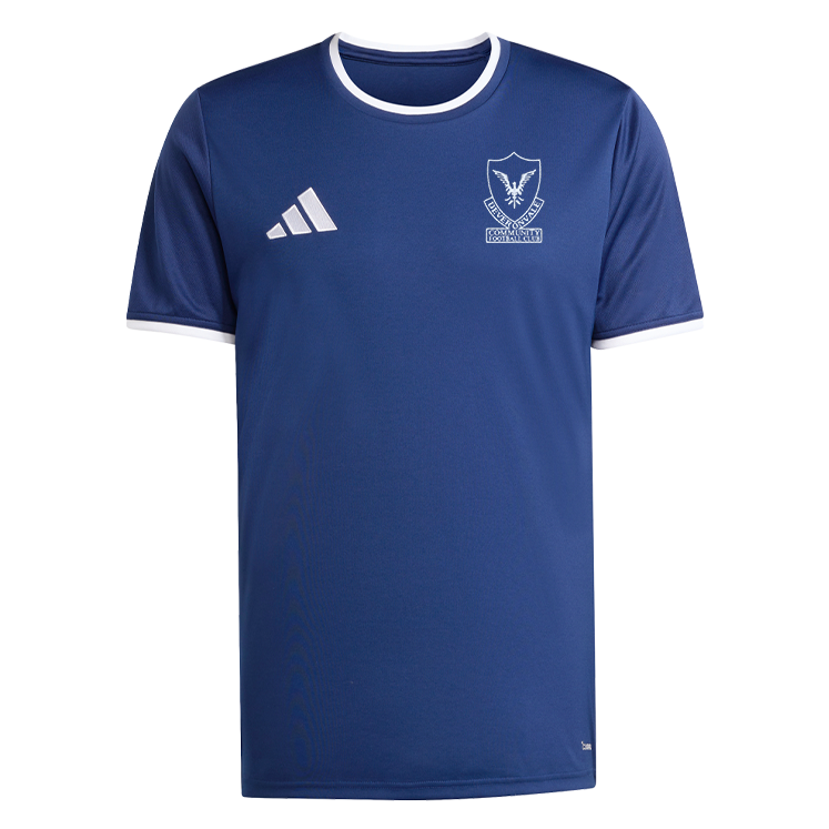 DEVERONVALE COMMUNITY FC adidas Entrada 26 Jersey