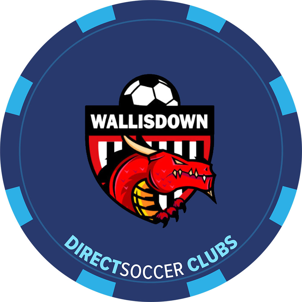 WALLISDOWN WANDERERS TOKEN